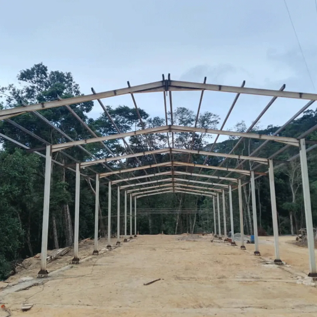 Completed steel building frame in a forest clearing